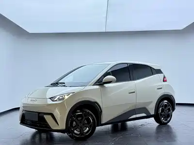 BYD Seagull 2025