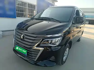 Dongfeng Fengxing Lingzhi 2025