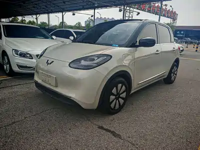 Wuling Motors Bingo 2024