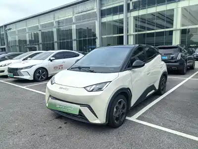 BYD Seagull 2023