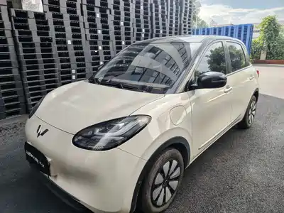 Wuling Motors Bingo 2024