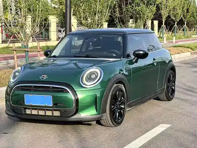MINI MINI 2021