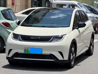BYD Dolphin 2023