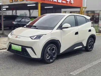BYD Seagull 2024