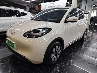Wuling Motors Bingo 2024