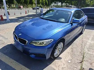 BMW 2 Series (Import) 2014