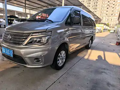 Dongfeng Fengxing Lingzhi 2018