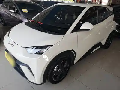 BYD Seagull 2024