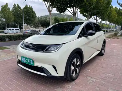 BYD Dolphin 2024