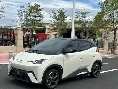 BYD Seagull 2024