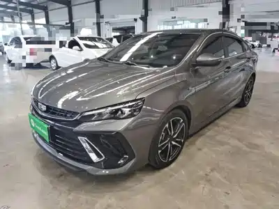 Geely Binrui 2023