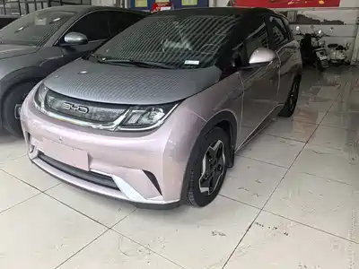 BYD Dolphin 2022