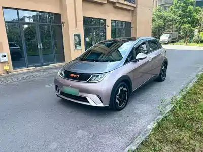 BYD Dolphin 2022