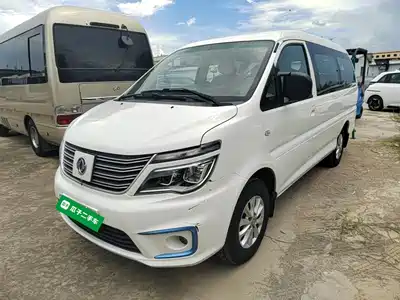 Dongfeng Fengxing Lingzhi New Energy 2021