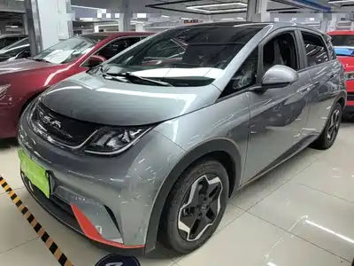 BYD Dolphin 2022