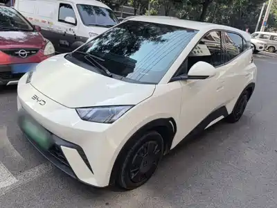BYD Seagull 2025