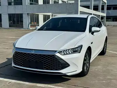 BYD Qin PLUS 2024