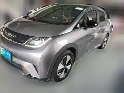 BYD Dolphin 2024
