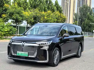 Voyah Auto Dreamer 2024