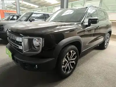 Haval Big Dog 2024