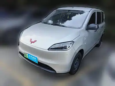 Wuling Motors Hongguang New Energy 2025