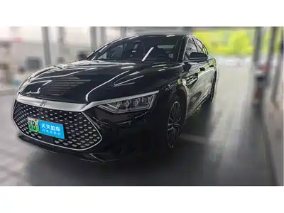 BYD Han 2022