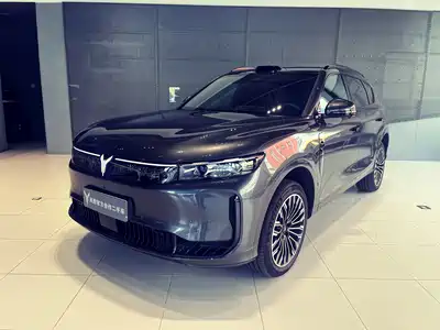 Voyah Auto FREE 2025