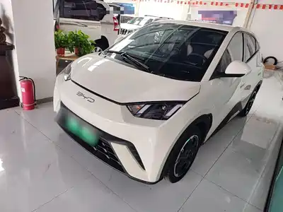 BYD Seagull 2024