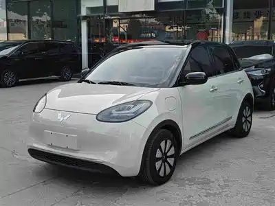 Wuling Motors Bingo 2024