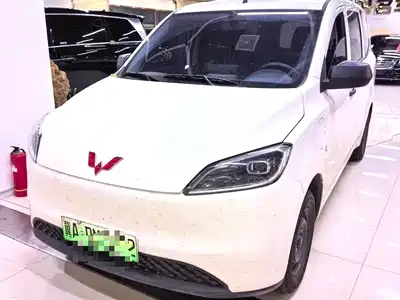 Wuling Motors Hongguang New Energy 2026