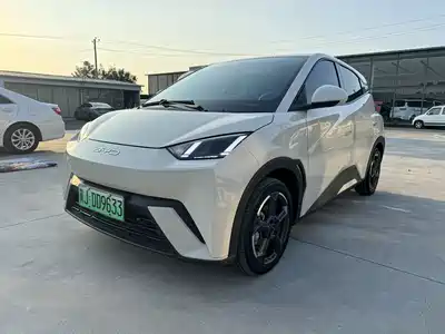 BYD Seagull 2024