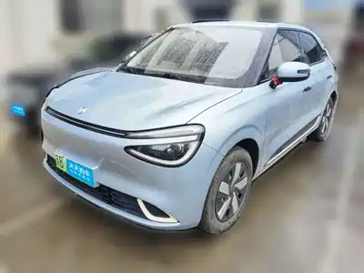 Dongfeng Yipai Nano 01 2024