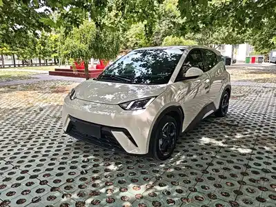 BYD Seagull 2023