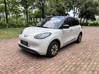 Wuling Motors Bingo 2025