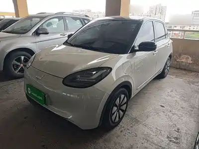 Wuling Motors Bingo 2024