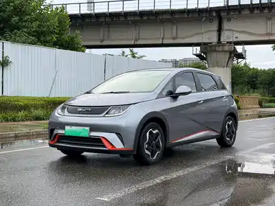 BYD Dolphin 2022