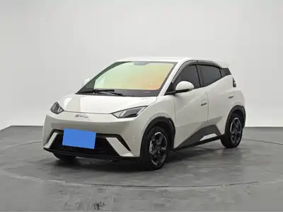 BYD Seagull 2024