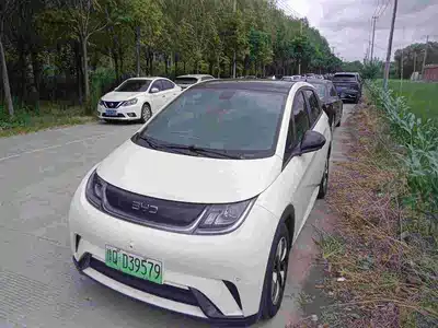 BYD Dolphin 2024