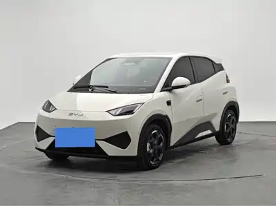 BYD Seagull 2025