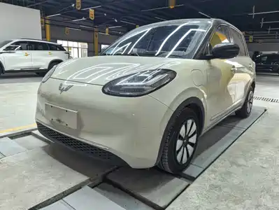 Wuling Motors Bingo 2024
