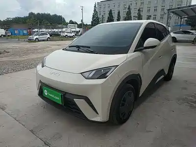 BYD Seagull 2025