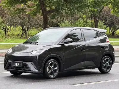 BYD Seagull 2024
