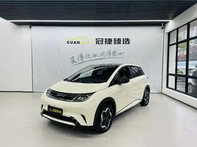 BYD Dolphin 2022