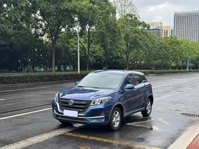 Dongfeng Fengguang Fengon 500 2021
