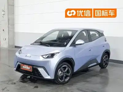 BYD Seagull 2024