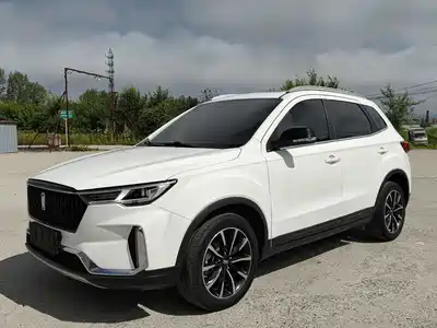 Besturn T33 2021