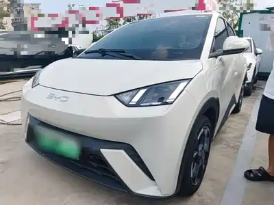 BYD Seagull 2024
