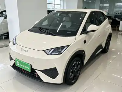 BYD Seagull 2025