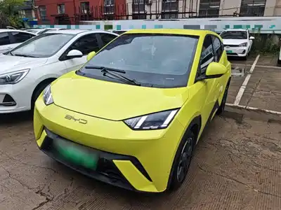 BYD Seagull 2023