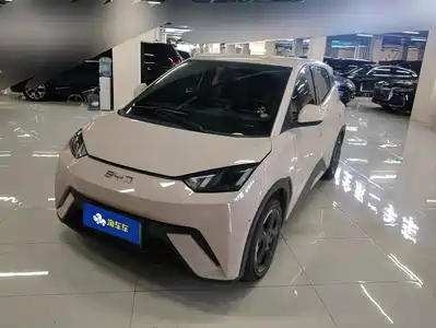 BYD Seagull 2024